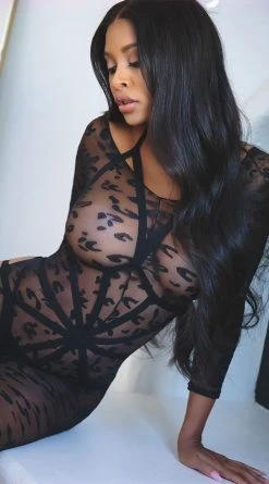 Playboy Sales -Playboy Sales YL 89151L LEO 6 EDS YANDY 2022SPRING